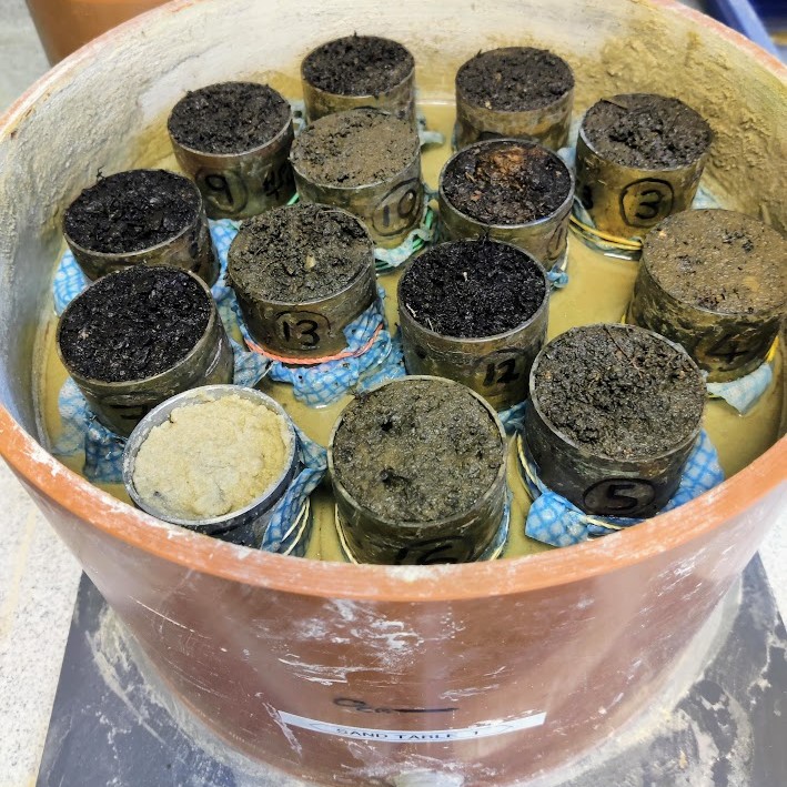 Soil cores on a sand table.