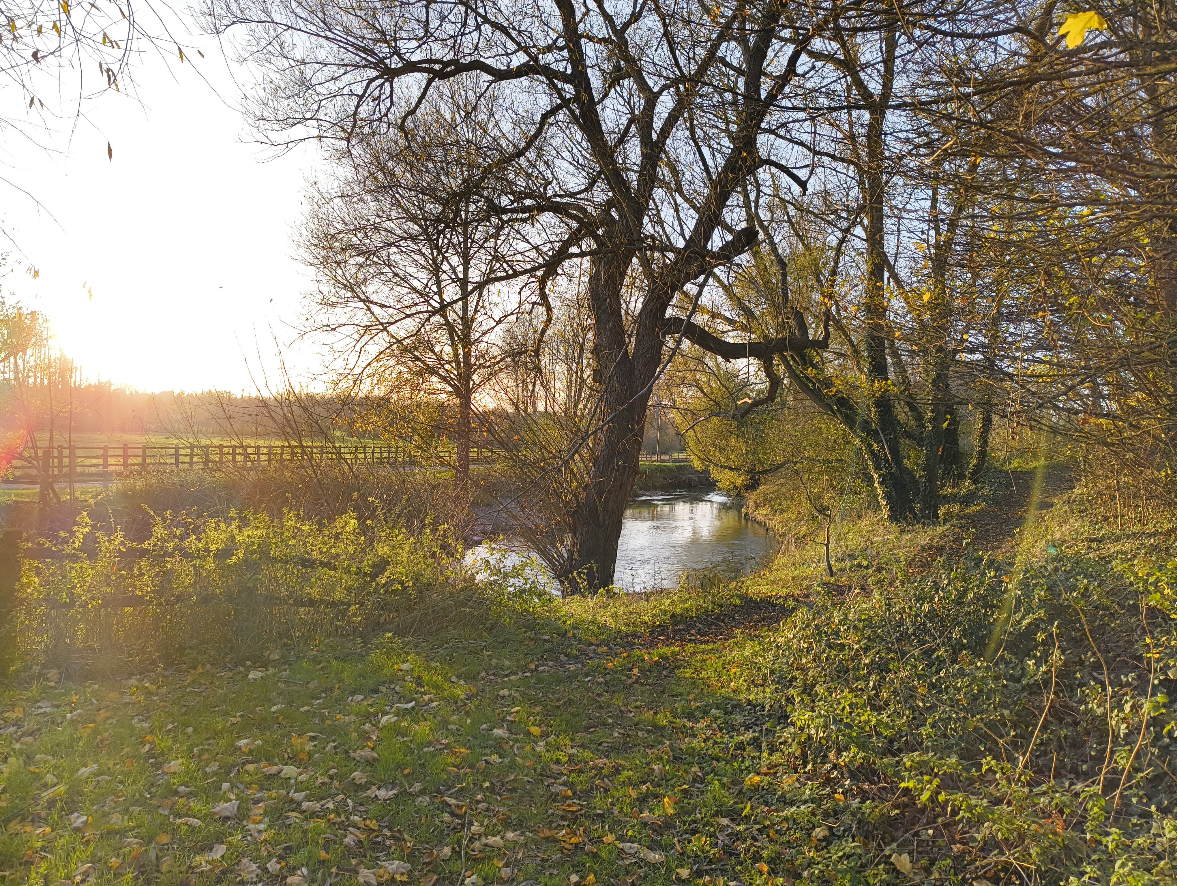 Serene UK countryside river scene with winter trees and soft sunlight, showcasing the natural beauty of rural Britain.