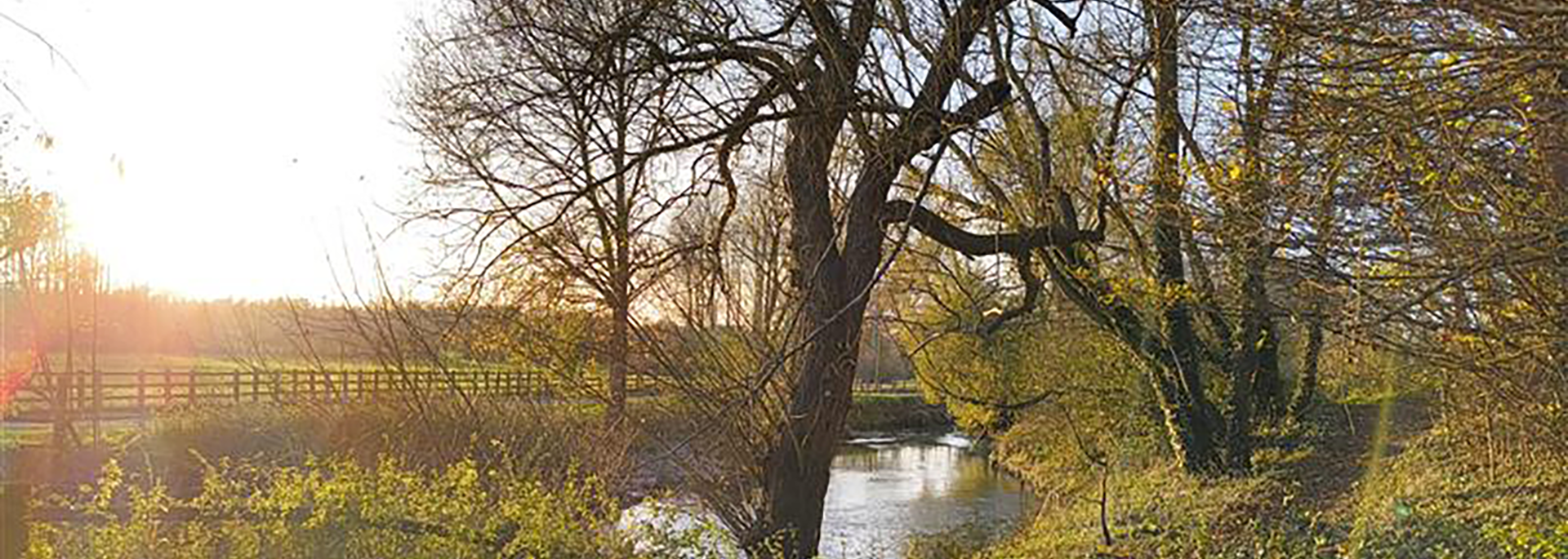 Serene UK countryside river scene with winter trees and soft sunlight, showcasing the natural beauty of rural Britain.